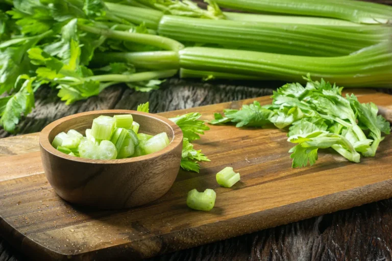 Celery (Pravi Celer)