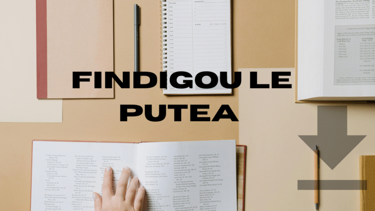Findigou Le Putea