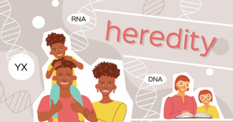 dna paternity testing